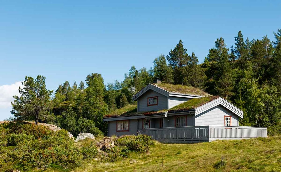 Hytte omringet av grønt landskap, til illustrasjon for hyttelån