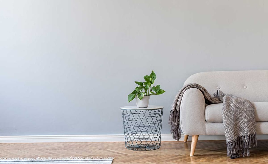 En stue med en grå sofa, brunt pledd og en grønn plante, til illustrasjon for tips før visning