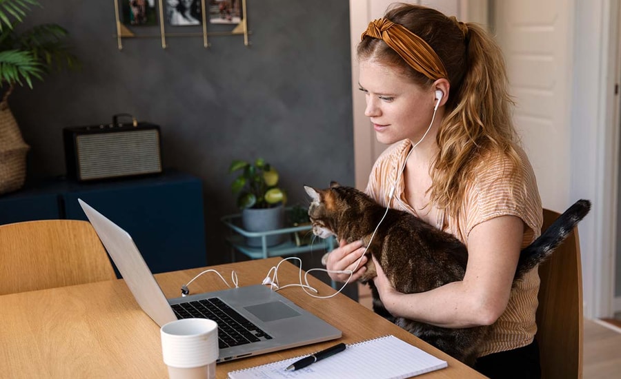 Jente ser på pc med katt i fanget, illustrasjon til hvordan spare til bolig