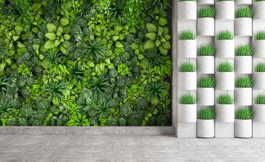 Plantvegg og planter i potter i et bygg, til illustrasjon for bærekraftig utvikling