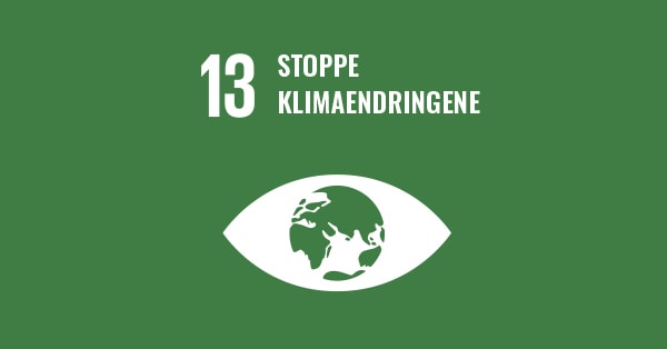 FNs mål 13 - stoppe klimaendringene, til illustrasjon for grønn bank