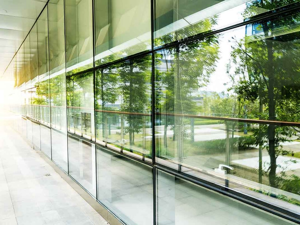 Skog illustrert i vinduer på et bygg, til illustrasjon for krav til våre leverandører