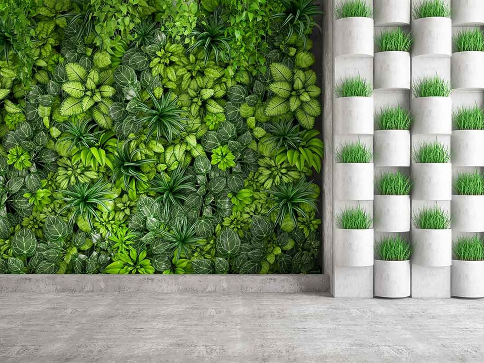 Plantvegg og planter i potter i et bygg, til illustrasjon for bærekraftig utvikling