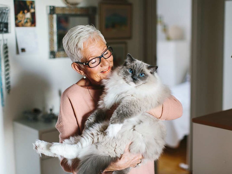 Eldre dame holder en stor katt, til illustrasjon for brevgiro