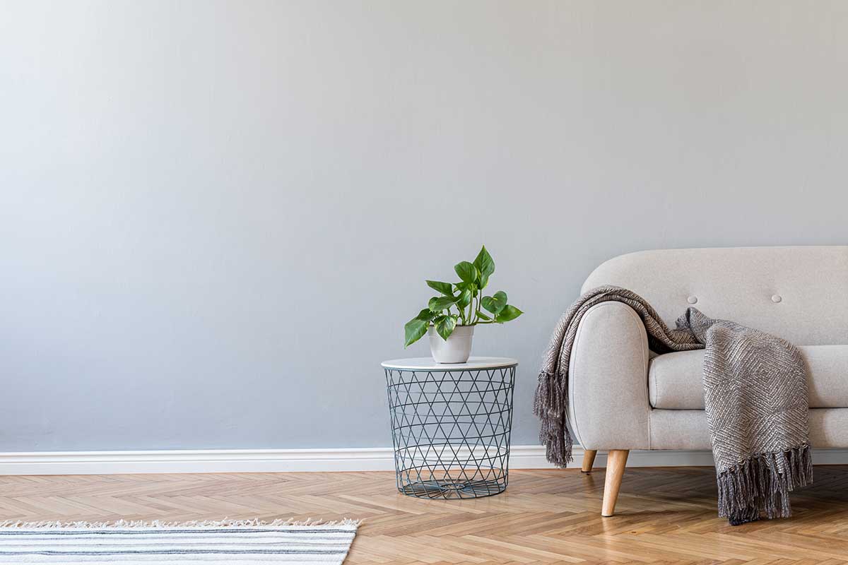 En stue med en grå sofa, brunt pledd og en grønn plante, til illustrasjon for tips før visning