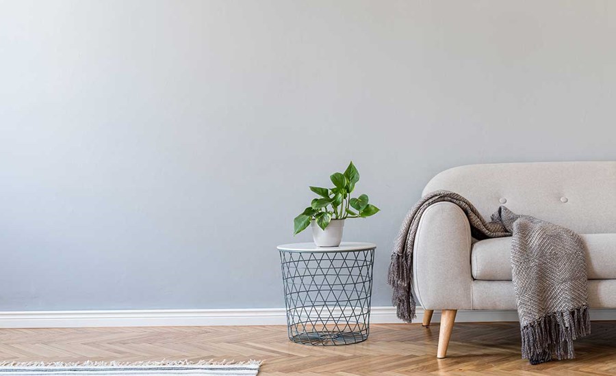 En stue med en grå sofa, brunt pledd og en grønn plante, til illustrasjon for tips før visning