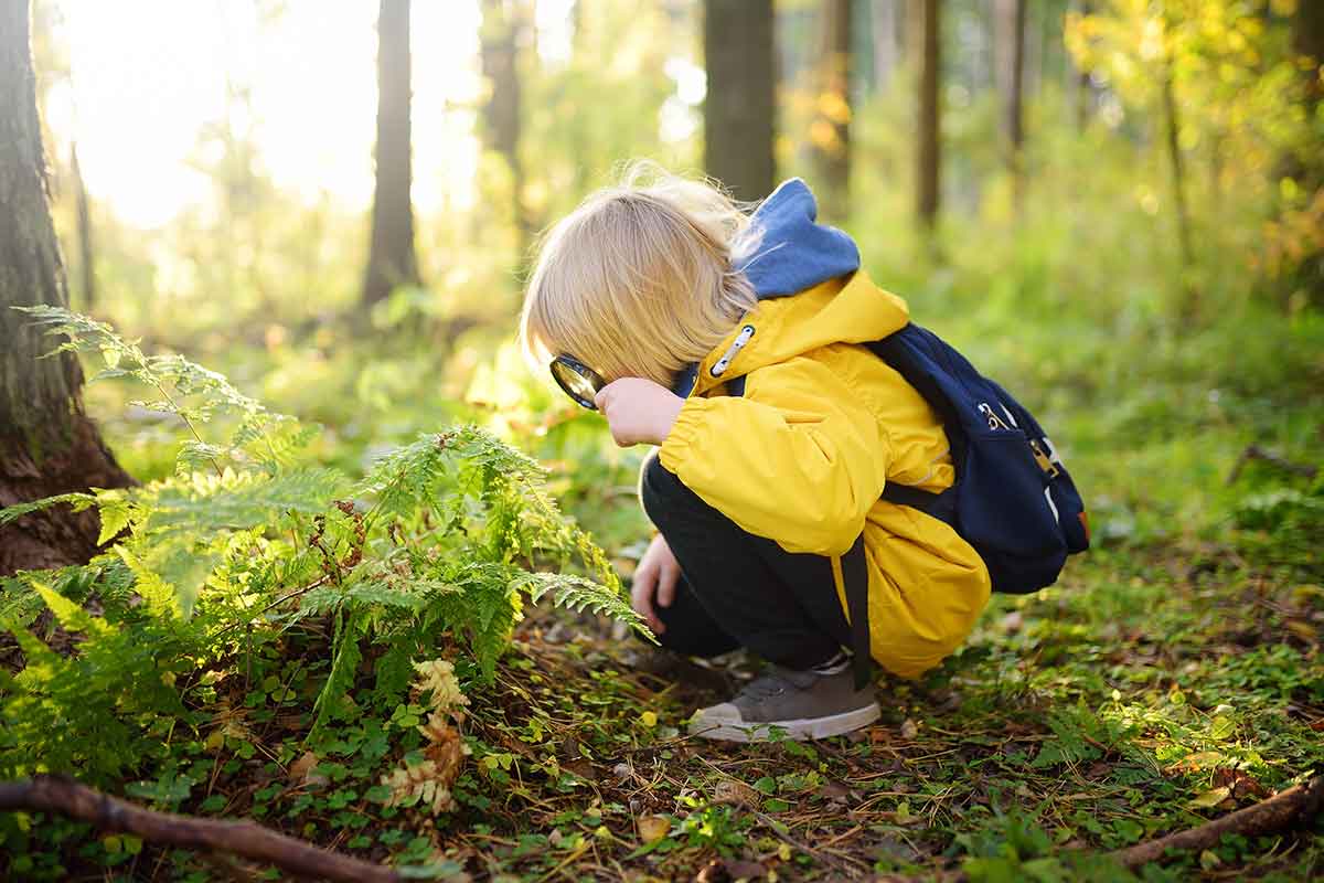 Liten gutt ute i skogen med et forstørrelsesglass, til illustrasjon for bærekraftsbibliotek