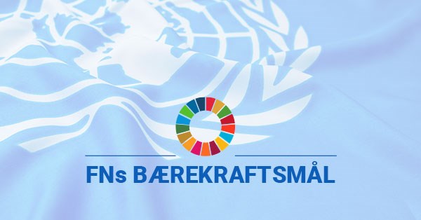 FNs bærekraftsmål, til illustrasjon for bærekraft i BN Bank