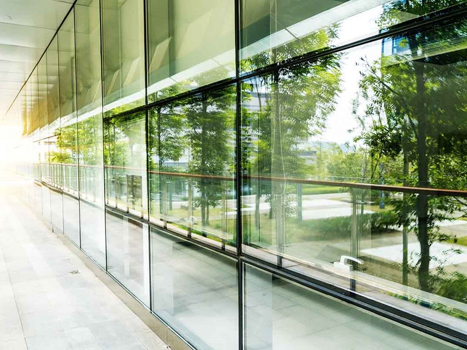 Skog illustrert i vinduer på et bygg, til illustrasjon for krav til våre leverandører