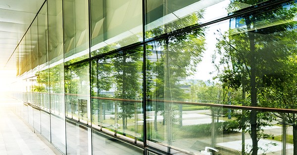 Vinduer i bygning reflekter grønne trær, til illustrasjon for miljø og innkjøp