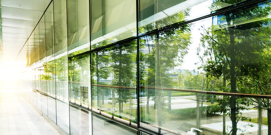 Vinduer i bygning reflekter grønne trær, til illustrasjon for miljø og innkjøp