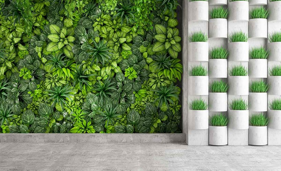 Plantvegg og planter i potter i et bygg, til illustrasjon for bærekraftig utvikling